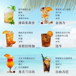 菲特瓦 威士忌伏特加朗姆酒金酒龙舌兰调酒六大基酒组合套装