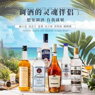 菲特瓦 威士忌伏特加朗姆酒金酒龙舌兰调酒六大基酒组合套装