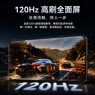 HAIWEIGE N10 八核处理器 极川蓝 12GB+1TB 5G手机
