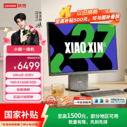 联想 小新一体台式机电脑27英寸(酷睿U5-226V 16G 512GB SSD 无线