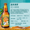 迷失海岸 浑浊IPA花生酱牛奶黑啤世涛组合装 355ml*6瓶 啤酒
