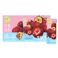 蒙牛 买一送一 蒙牛真果粒牛奶饮品东魁杨梅味含乳饮料250g×12盒 卡皮巴拉定制装