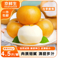 京鲜生 冰糖秋月梨 净重1.5kg 单果270g+ 生鲜水果