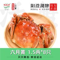 阳澄湖 活蟹阳澄湖牌六月黄大闸蟹礼盒公母2.5两8只装鲜活螃蟹