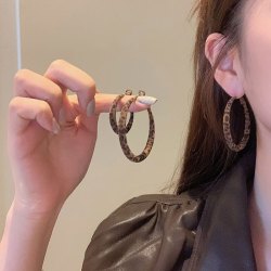 半日逅屿 美拉德复古豹纹丝绒耳圈女气质独特个性时尚潮流通勤百搭 3cm耳环