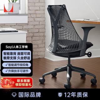 赫曼米勒 HERMAN MILLER）Sayl 人体工学椅 家用学习电脑椅 久坐椅  黑色