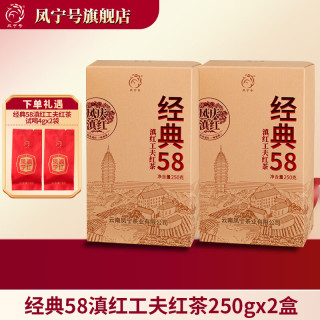 凤宁号 经典58特级凤庆滇红茶云南古树滇红金针茶口粮茶送礼新茶叶自己喝 2盒装500g