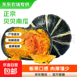 正宗贝贝南瓜新鲜婴儿辅食粉糯香甜蔬菜生鲜 品质中大果 2斤 带箱
