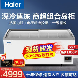 海尔 展示柜商用冰柜 全冷冻超市便利店雪糕速冻柜 电子温控卧式弧面玻璃门雪柜