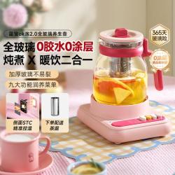BLAUPUNKT 全玻璃养生壶0胶水小型纯玻璃花茶壶家用多功能恒温水壶花茶壶