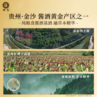 椰岛 力能人参酱酒 53度 500mL*2瓶 酱香型白酒