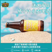 迷失海岸 浑浊IPA花生酱牛奶黑啤世涛组合装 橘子汁小麦 355ml*6瓶