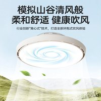 长虹 卧室风扇灯2026新款吸顶灯静音无叶电扇灯吊扇灯广东中山灯具