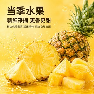 益田馨 农科院冰菠萝纯果汁饮料