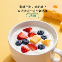 天然世家 酪蛋白儿童益生菌酸奶