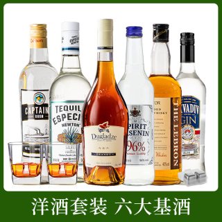 菲特瓦 威士忌伏特加朗姆酒金酒龙舌兰调酒六大基酒组合套装