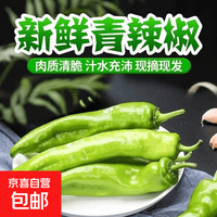 国产 山东新鲜尖椒青辣椒农家自种辣椒新鲜薄皮椒微辣菜椒现摘现发 带箱1斤1.12包邮