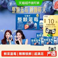 安慕希 伊利安慕希整颗蓝莓酸奶200g*8盒