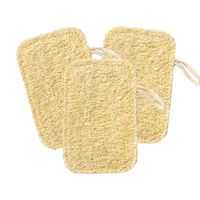 京东京造 天然丝瓜络洗碗百洁擦 3只装