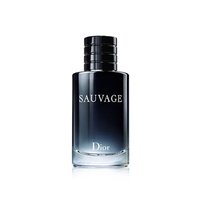 Dior 旷野男士淡香水芬芳木质清新持久正品30ml