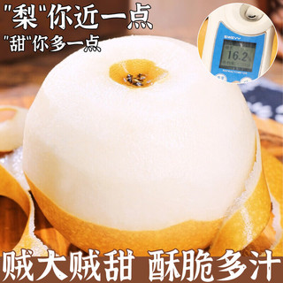 松筱 秋月梨 单果350-450g 净重4.5斤