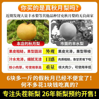 松筱 秋月梨 单果350-450g 净重4.5斤
