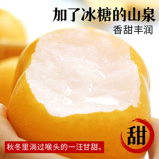 松筱 秋月梨 单果350-450g 净重4.5斤