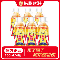 东鹏 特饮 维生素功能饮料 250ml