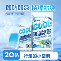 超亚医药 超亚 降温冰凉贴 10贴*2包