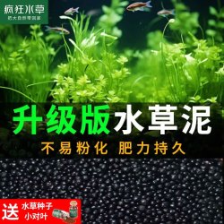 疯狂水草 鱼缸造景水草泥和种子底砂装饰生态套餐水草用品 强肥水草泥1L（约2斤）+小对叶种子