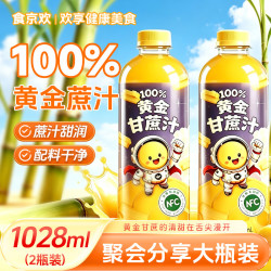 食京欢 100%甘蔗汁清甜润喉甘甜果汁植物饮料聚会饮品1028ml*2瓶