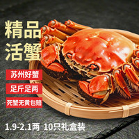蟹澄天大闸蟹 六月黄1.9-2.2两 10只 去绳足重鲜活螃蟹河蟹海鲜礼盒源头直发