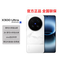vivo X300 Ultra 5G手机 16GB+1TB 银调