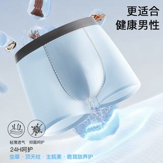 芬腾 10A抗菌 冰丝 L 6条装 男士平角内裤