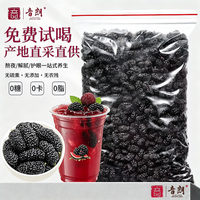 音朗 桑葚干500g 精选新疆无沙桑子即食超大颗粒桑椹子养生泡酒泡茶