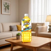 88VIP：康师傅 冰红茶低糖高纤900ml*8瓶痛快畅饮