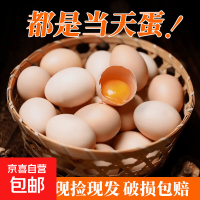 新鲜农家谷物鲜鸡蛋  现捡现发 破损包赔  营养早餐 单枚40g左右 40枚装