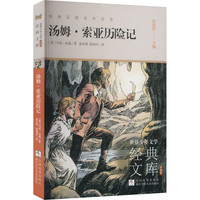 汤姆·索亚历险记升级版世界少年文学经典文库经典