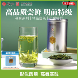 徽六 寻味系列安吉白茶明前特级绿茶 50g
