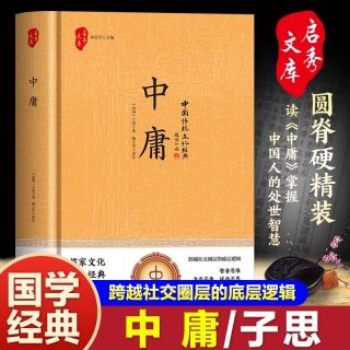 中庸正版子思著初中生高中生国学经典小说 全集原文注释文对照儒家孔子国学经典哲学书籍