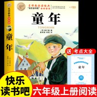 全套3册 童年六年级上册必读正版的课外书高尔基原著完整版爱的教育亚米契斯小英雄雨来快乐