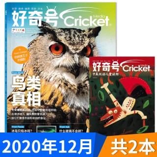好奇号杂志X星球 Y世界2025年1-12月组合打包 中文版美国Cricket Media环球科学少儿科普