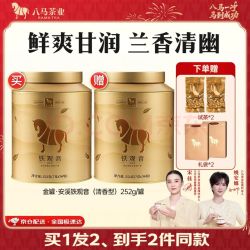 八马茶业 一级 清香型 铁观音 252g 金罐装（买一赠一同款）