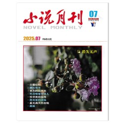 小说月刊杂志2025年1/2/4-9月组合打包中短篇文学小说课外知识拓展书籍期刊
