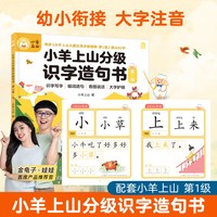 88VIP：小羊上山分级识字造句书全套1-6级 幼儿园看图趣味识字启蒙早教书3-6-8岁学前班识字