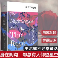 小妇人  路易莎·梅·奥尔科特 世界名著外国小说美国现当代文学中小学生课外阅读书目畅销书排行榜图书籍