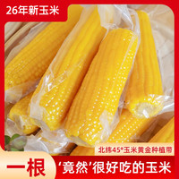 王老宝 真空甜糯玉米棒 10-13cm 12支装 谷物