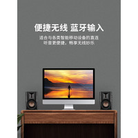 惠威 D100 有源音箱