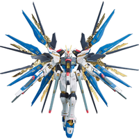 万代 RG 1/144 强袭自由高达 送支架+光翼