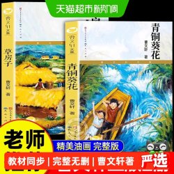 青铜葵花曹文轩作品正版电影原著完整无删减四年级下册阅读课外书